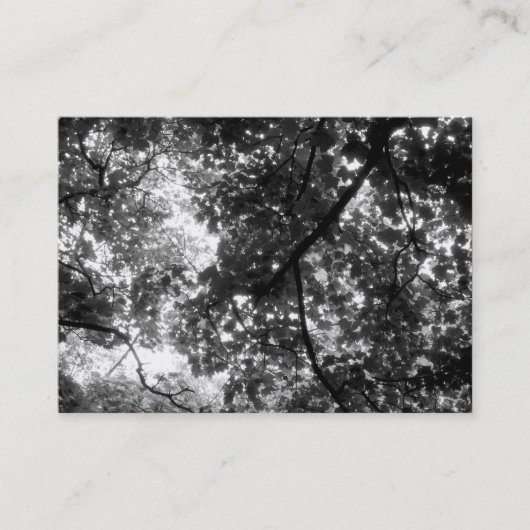 Carte De Visite Dans les arbres, Mini photo (Devant)