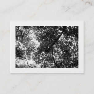 Carte De Visite Dans les arbres, Mini photo