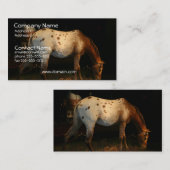 Carte de visite d'Appaloosa (Devant / Derrière)