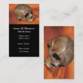 Carte de visite d'archéologue (Devant / Derrière)