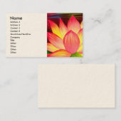 Carte de visite d'art de fleur de nénuphar de (Devant / Derrière)
