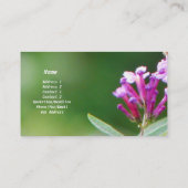 Carte de visite d'asile d'abeille (Dos)