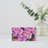 CARTE DE VISITE DATES ROSES (Debout devant)