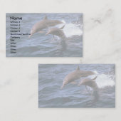 Carte De Visite Dauphin de fileur (Devant / Derrière)