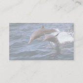 Carte De Visite Dauphin de fileur (Dos)