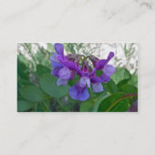 Carte de visite de Beach Pea (Lathyrus maritimus) (Dos)