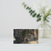 Carte de visite de berger allemand (Debout devant)