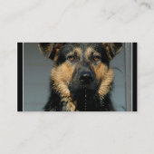 Carte de visite de berger allemand (Dos)