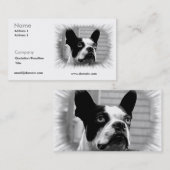 Carte de visite de Boston Terrier (Devant / Derrière)