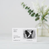 Carte de visite de Boston Terrier (Debout devant)