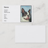 Carte de visite de Boston Terrier (Devant / Derrière)
