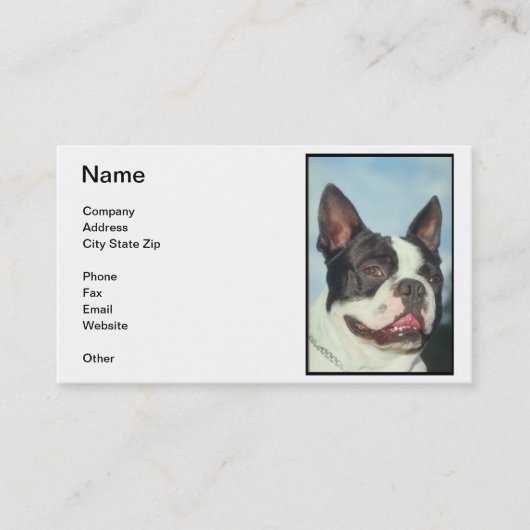 Carte de visite de Boston Terrier (Devant)