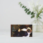 Carte de visite de Boston Terrier (Debout devant)