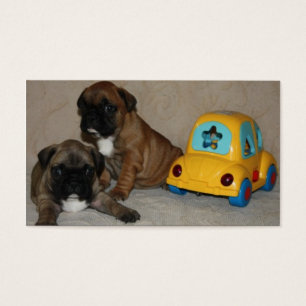 Carte de visite de Bouledogue Français