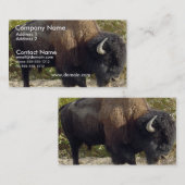 Carte de visite de Buffalo (Devant / Derrière)