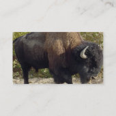 Carte de visite de Buffalo (Dos)