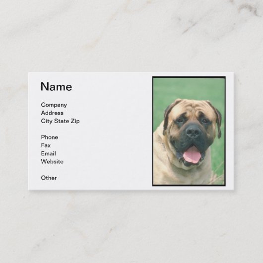 Carte de visite de Bullmastiff de faon (Devant)