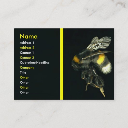 Carte de visite de Bumblebee (Devant)