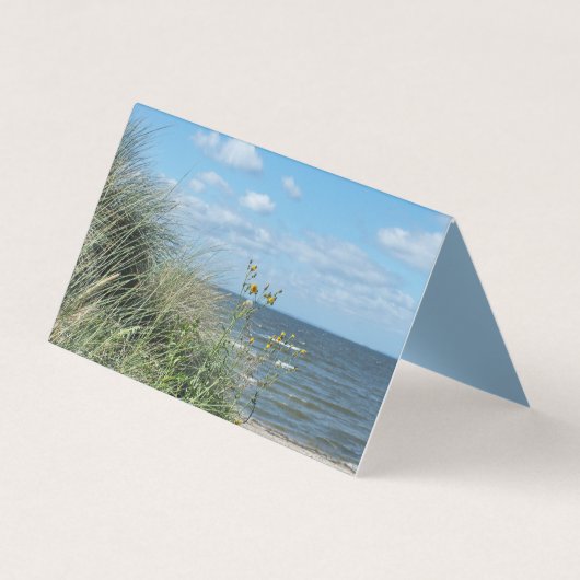 carte de visite de bureau de paysage de plage mari (Devant)