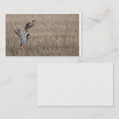 Carte de visite de canard (Devant / Derrière)