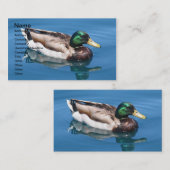 Carte de visite de canard mâle (Devant / Derrière)