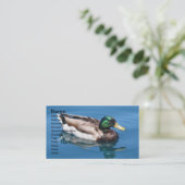 Carte de visite de canard mâle (Debout devant)