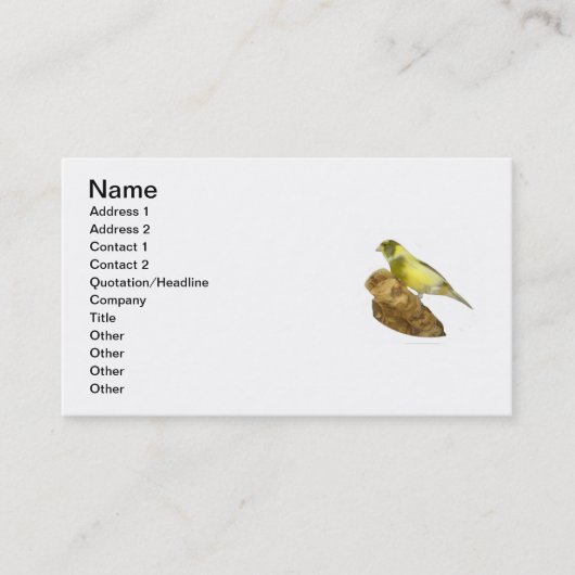 Carte de visite de Canary Breeder (Devant)