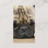 Carte de visite de carlin de sommeil (Dos)