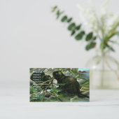 Carte de visite de castor (Debout devant)