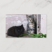 Carte de visite de cause de chat feral (Dos)