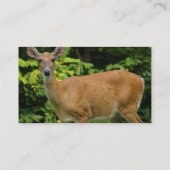 Carte de visite de cerfs communs (Dos)