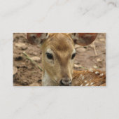 Carte de visite de cerfs communs de Bambi (Dos)