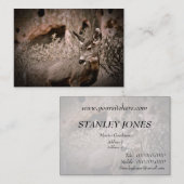 Carte de visite de cerfs communs de mule (Devant / Derrière)