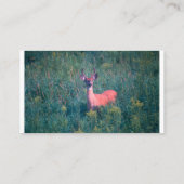 Carte de visite de cerfs de queue blanche, personn (Dos)