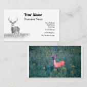 Carte de visite de cerfs de queue blanche, personn (Devant / Derrière)