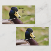 Carte de visite de chasse de canard (Devant / Derrière)