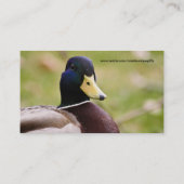 Carte de visite de chasse de canard (Dos)