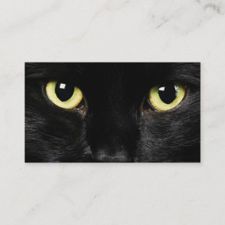 Carte de visite de chat