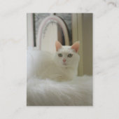 Carte de visite de chat (Dos)