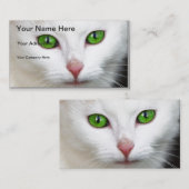 Carte de visite de chat blanc à l'oeil vert (Devant / Derrière)
