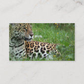 Carte de visite de chat de Jaguar (Dos)