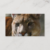 Carte de visite de chat de puma (Dos)
