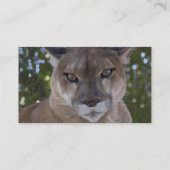 Carte de visite de chat de puma (Dos)