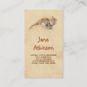 carte de visite de chats de chat