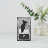 Carte de visite de cheval (Debout devant)