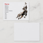 Carte de visite de cheval (Devant / Derrière)