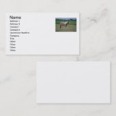 Carte de visite de cheval (Devant / Derrière)