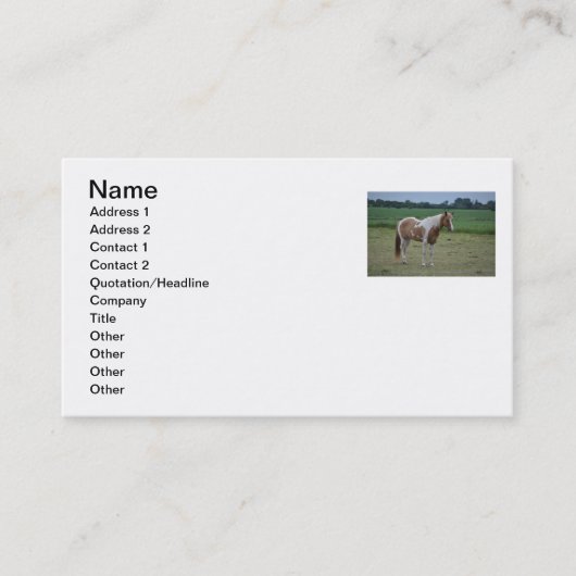 Carte de visite de cheval (Devant)