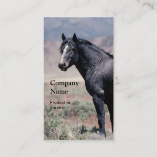 Carte de visite de cheval