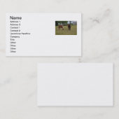 Carte de visite de cheval (Devant / Derrière)